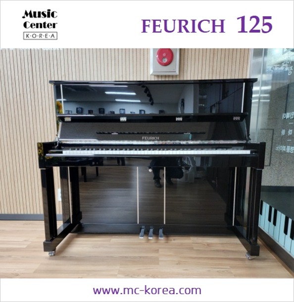 세계 3대 피아노인 C BECSTEIN 계열의 합리적인 피아노 FEURICH 125